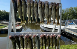 Lake Erie's Walleye Adventure Begins